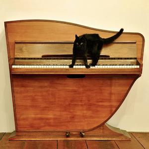 女性肛交一次肛门多久恢复
